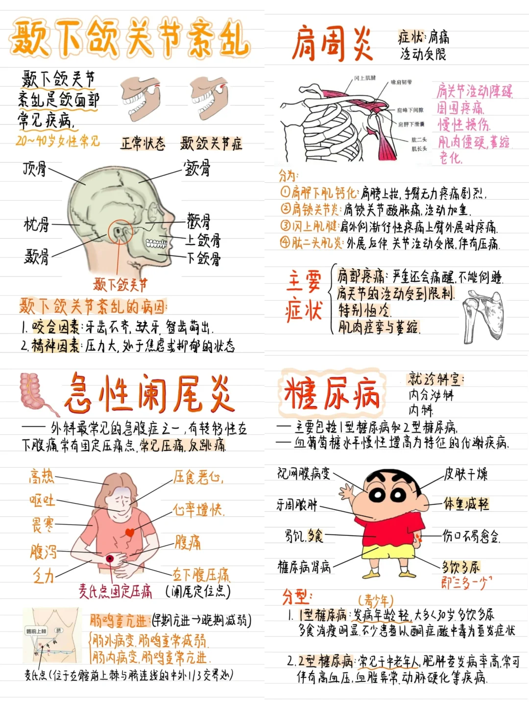 医学生笔记-科普合集~快来看看吧