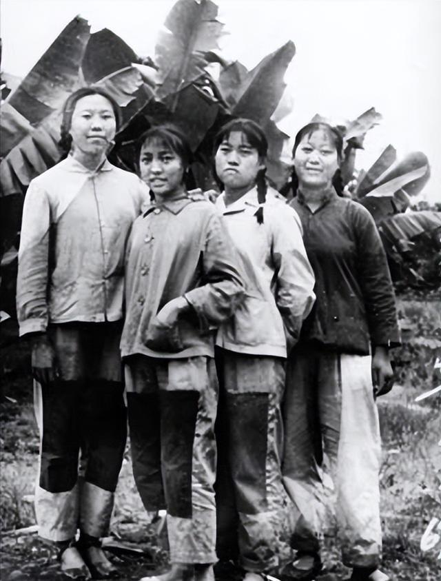 1971年，女知青宋梅为了报恩，嫁给了一名农民。在洞房花烛夜，她被眼前的情景吓得