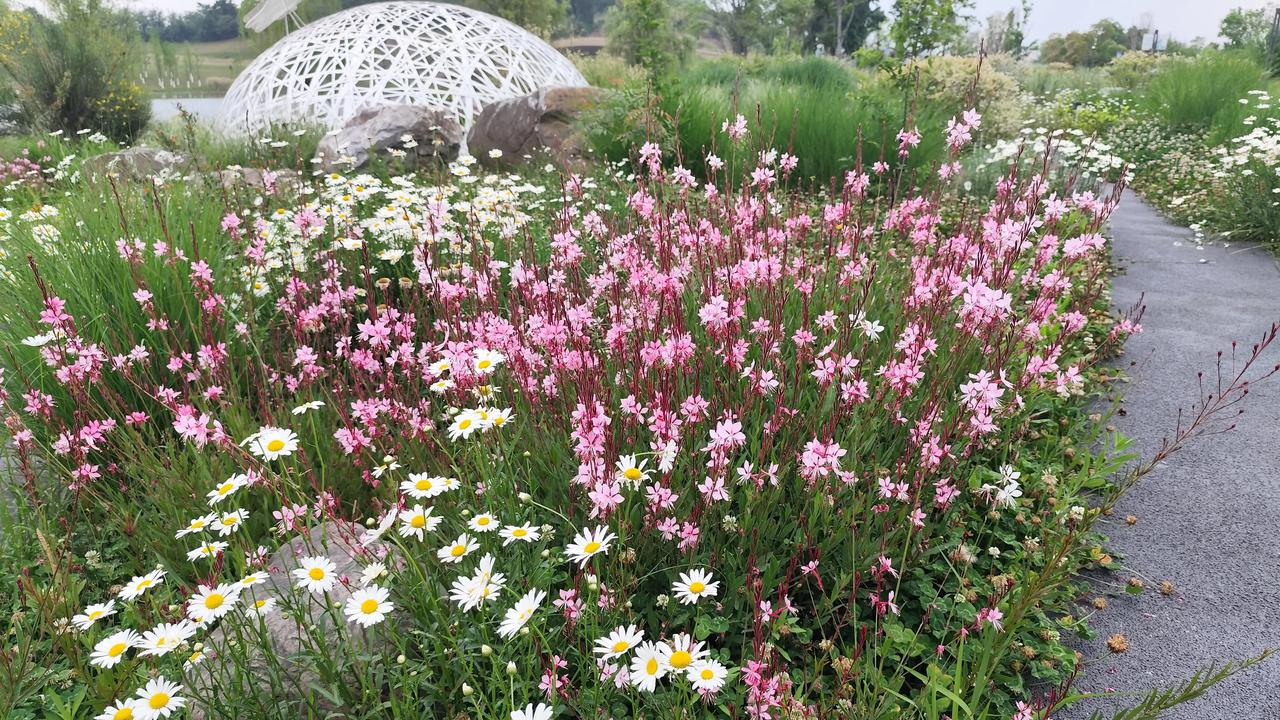 晒图笔记大赛春日花花真漂亮！分享随手一拍的花朵