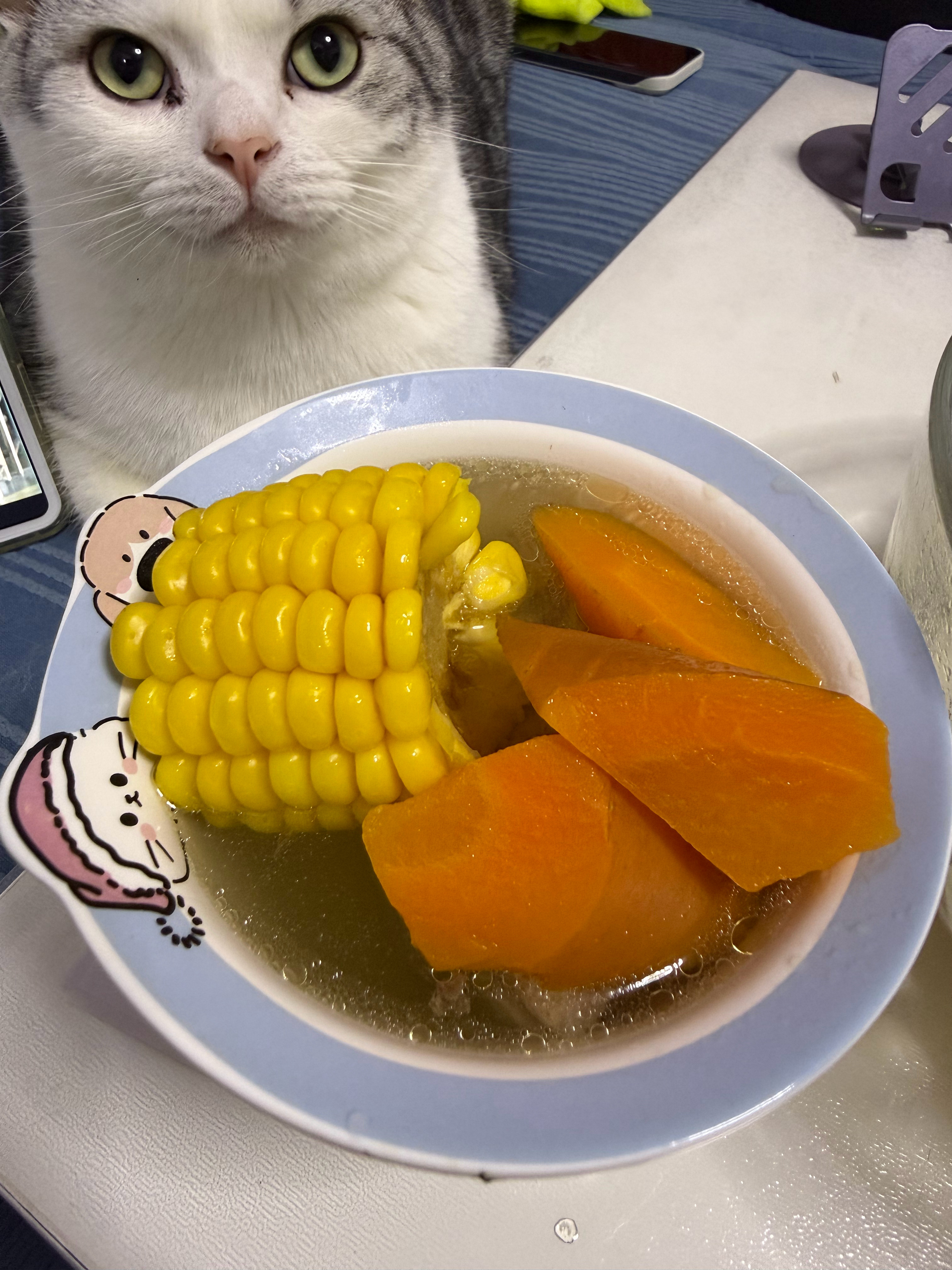 做饭日常 