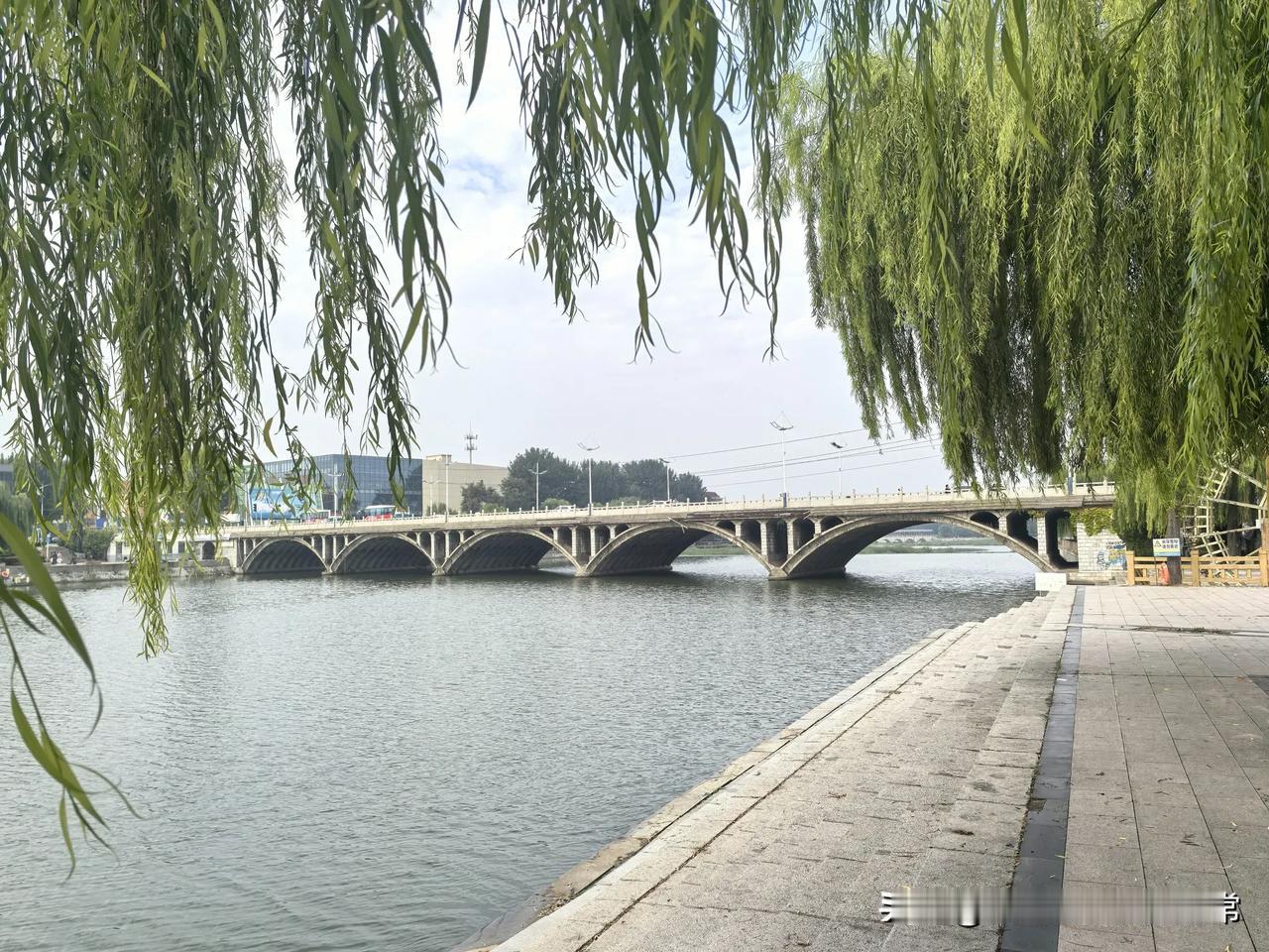 耄耋老太游莱西洙河公园
你知道吗？在莱西月湖公园的旁边，还有一个很美的景点：洙河