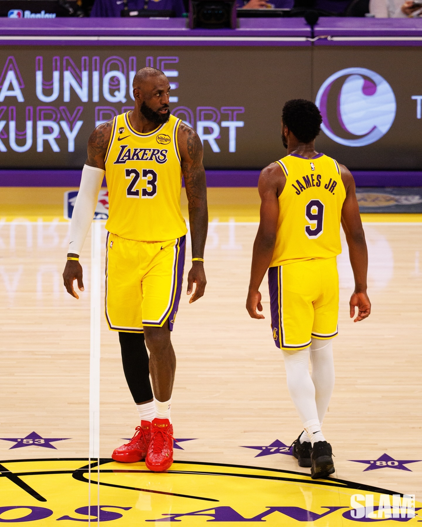 布朗尼&詹姆斯Full circle in motion. 👑 布朗尼詹姆斯詹