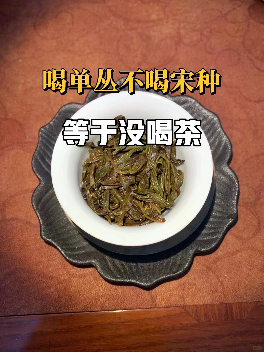 为什么喝单丛的都爱喝宋种？答案在茶里