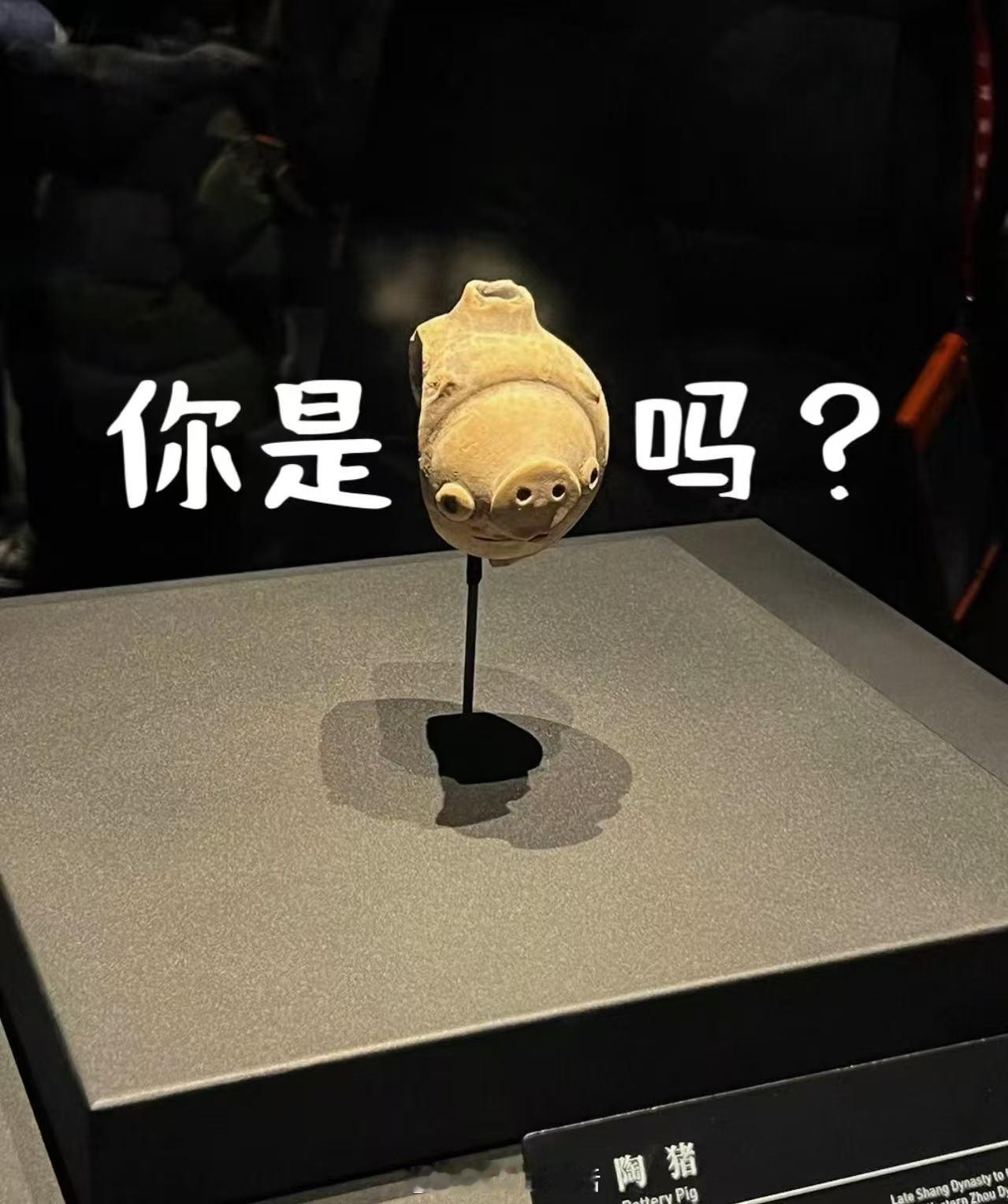 动漫[超话]帮猪猪侠补家谱要去博物馆 二次元招新季 哈哈哈，是你吗猪猪侠?博物馆