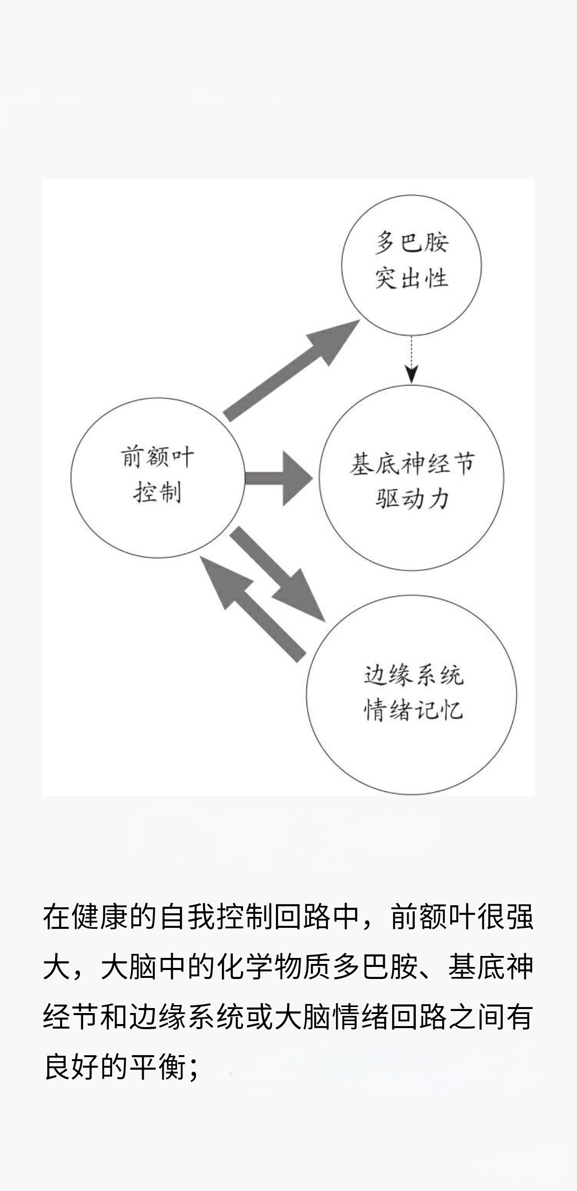 多巴胺水平低与动机缺乏的一些问题有关，比如帕金森氏病、某些形式的抑郁和注意力缺陷
