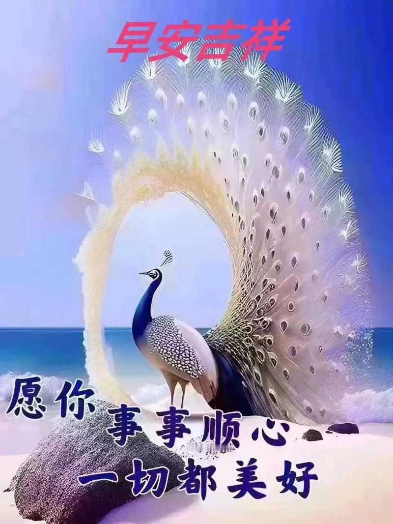 你的人生是一部什么剧?
在干中学干，砥砺前行，成绩辉煌，《笑傲人生》！