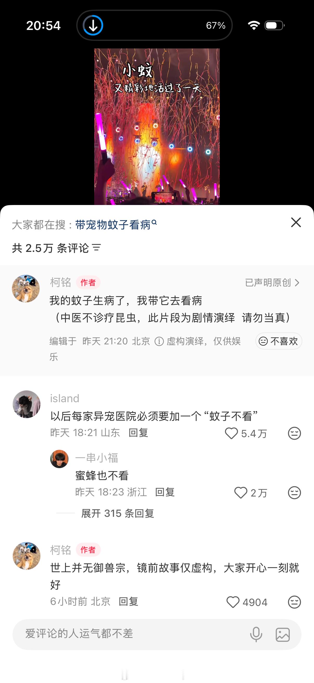 我怎么都想不到北京场同看的观众居然还有一只宠物蚊子！ 