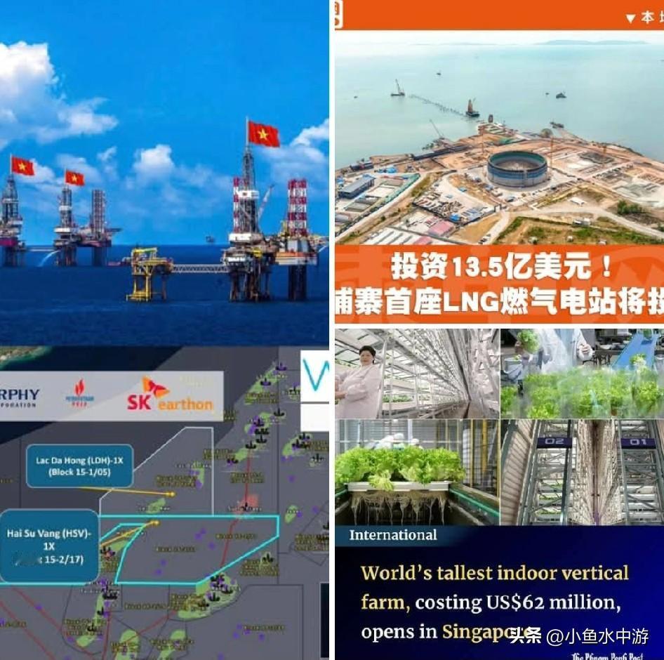 越南近海新油田、柬埔寨首座LNG液化天然气发电项目、新加坡垂直农场！
 
图 1