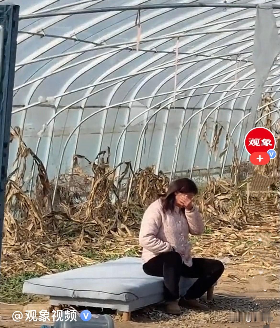 明天就小年了，进入过年模式了，农村该杀猪准备过年了……
     近日，安徽一家