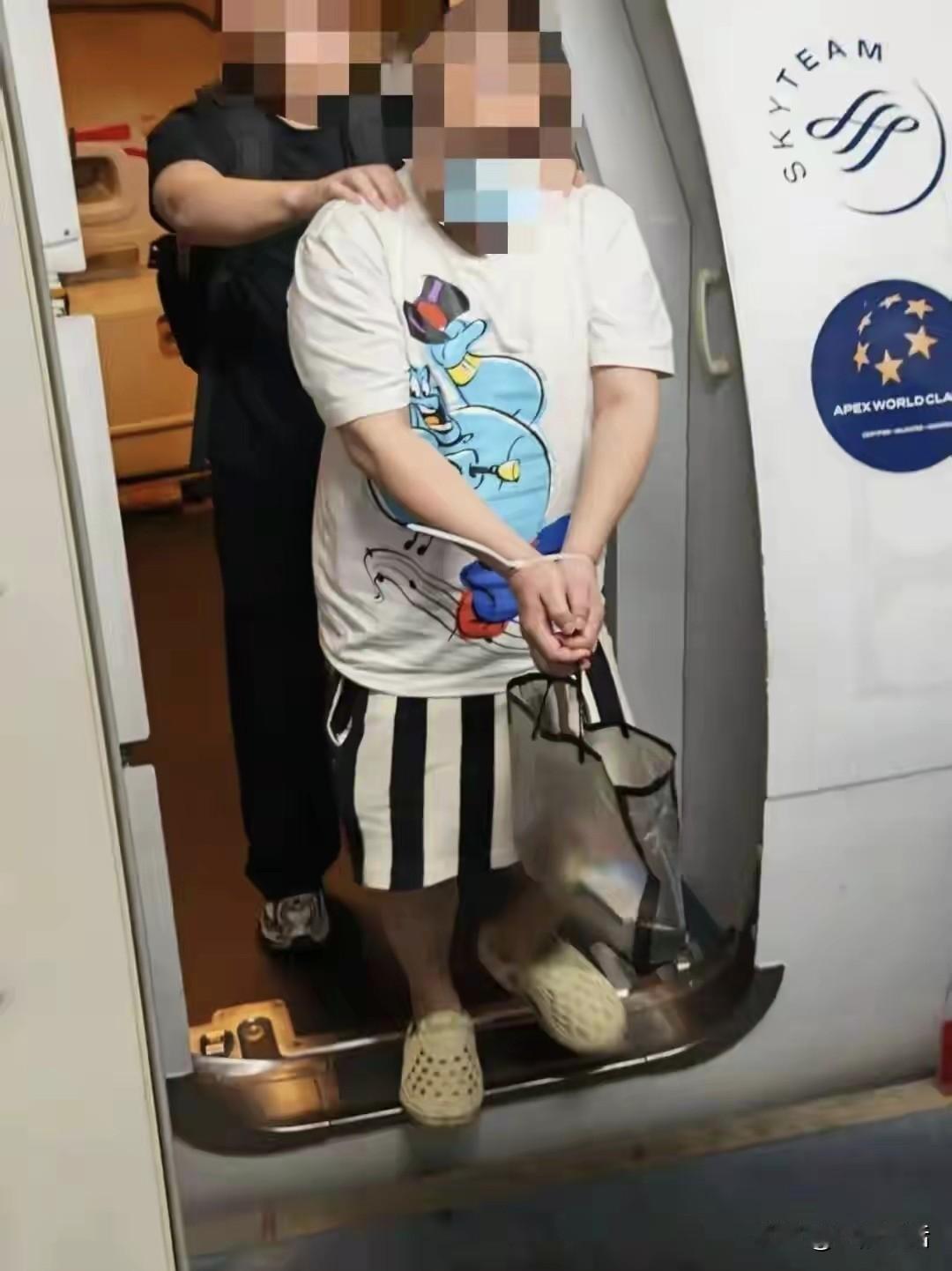 8月8日，一名叫樊某某的中国公民在中菲警方的协作下在菲律宾被捉拿归案。

樊某某