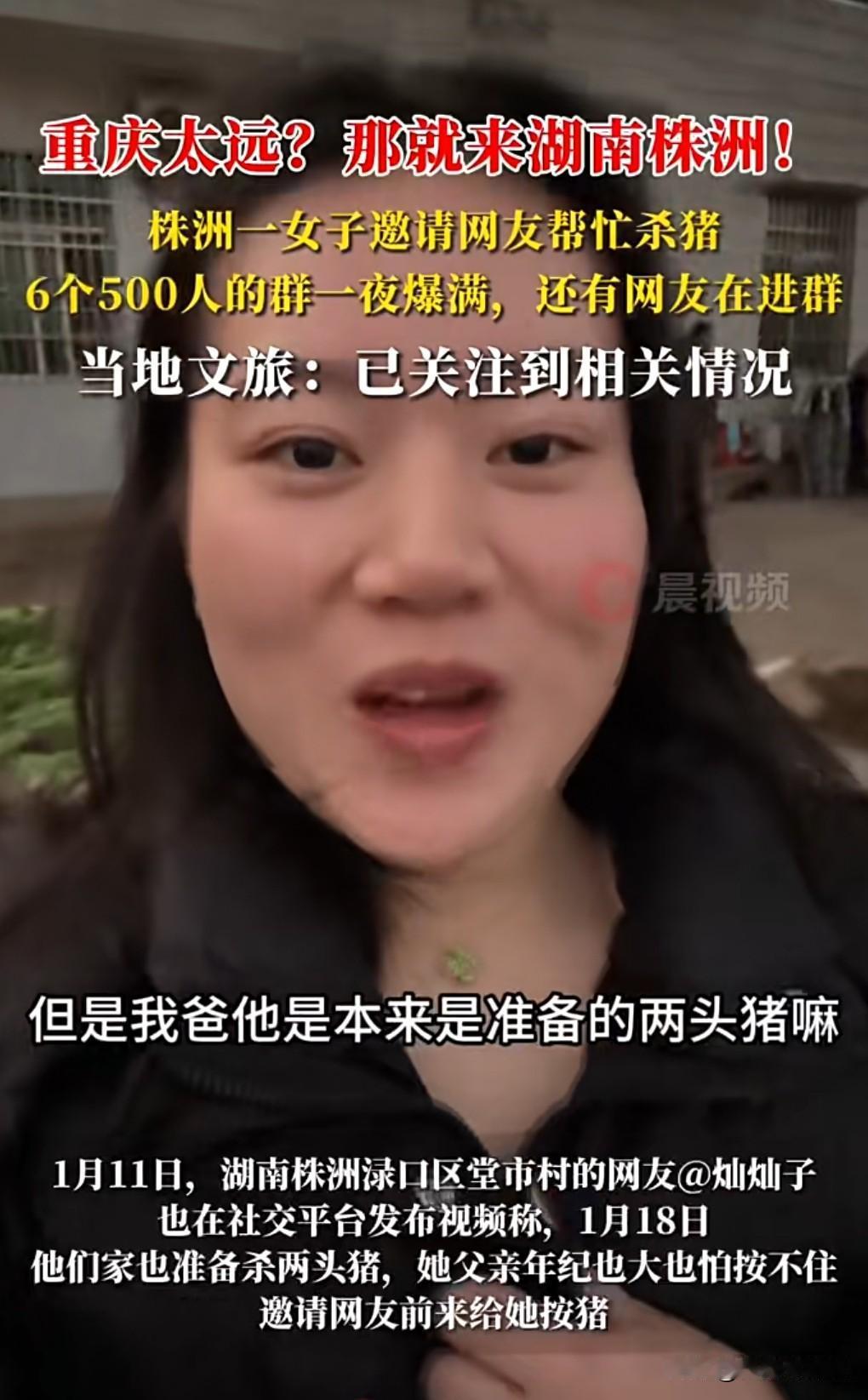 想不到这年头请人杀猪，也能成为一个网红，有一个叫呆呆的涨粉上百万。

1月12日