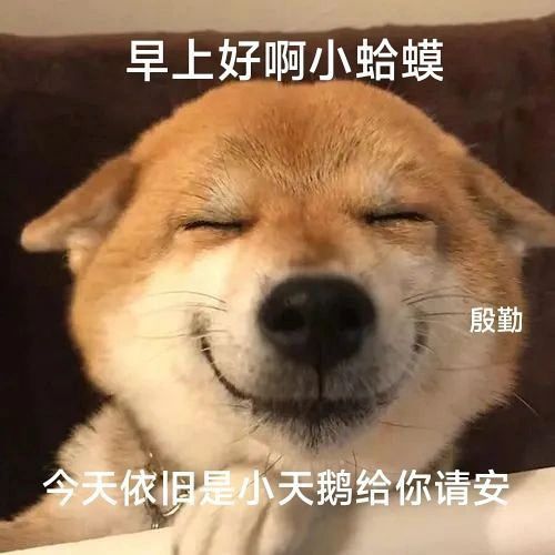 快来丰富一下你的表情包吧 ​​​