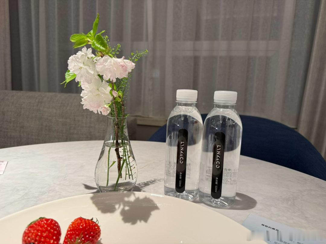 领克的活动真能给情绪价值每次参加活动 我都能把身体调整到最佳状态！我和汽车的日常