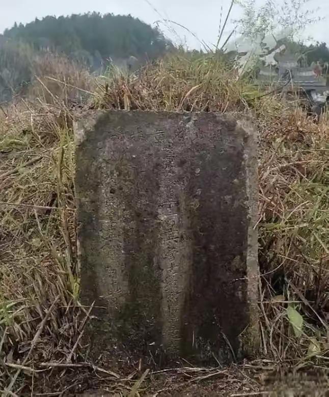 一个深圳女老板叫周敏，回贵州老家给父亲迁坟时，顺手清理了旁边1座野坟，结果墓碑上