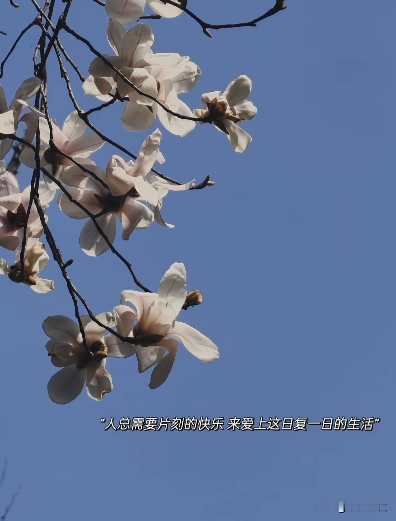 心很贵，一定要装值得东西 ；
情绪很贵，一定要接触让你愉悦的人和事。