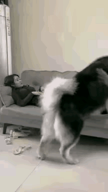 什么情况？