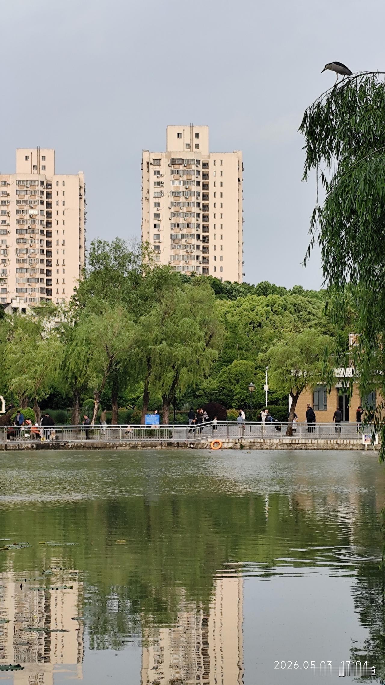 能分享你家乡的美景照吗居高临下观美湖