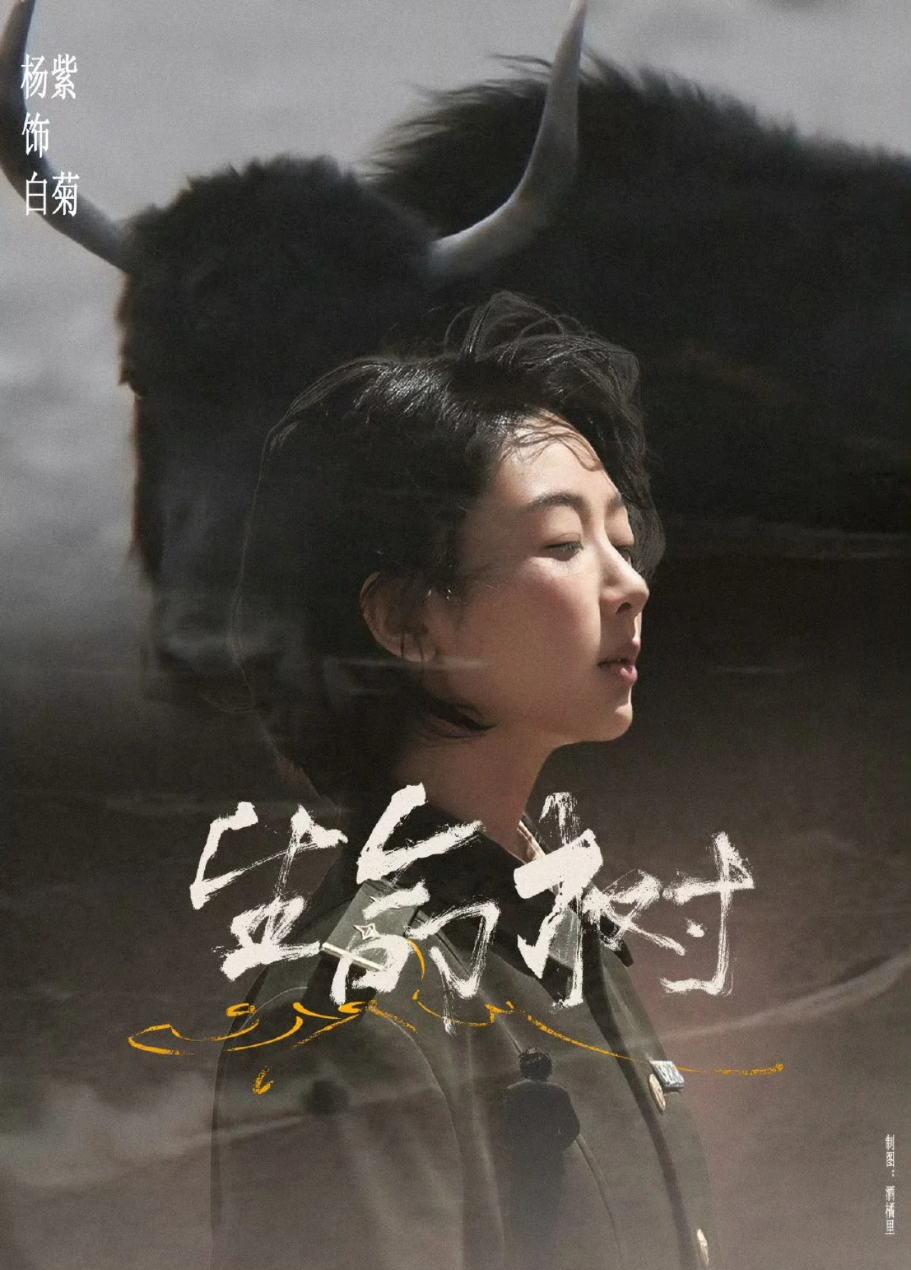 生命树 纪录片 杨紫的剧在我这儿就是免检，出剧必看。在她身上我看到了演员的信仰。