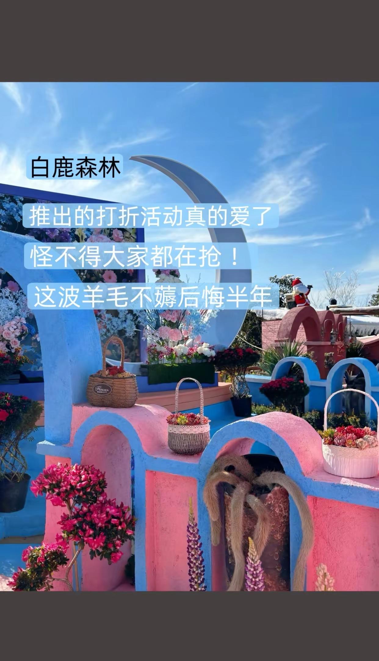 白鹿森林 美景尽收眼底让人陶醉 打卡拍照网红地 周末去哪里玩 快乐就这么简单