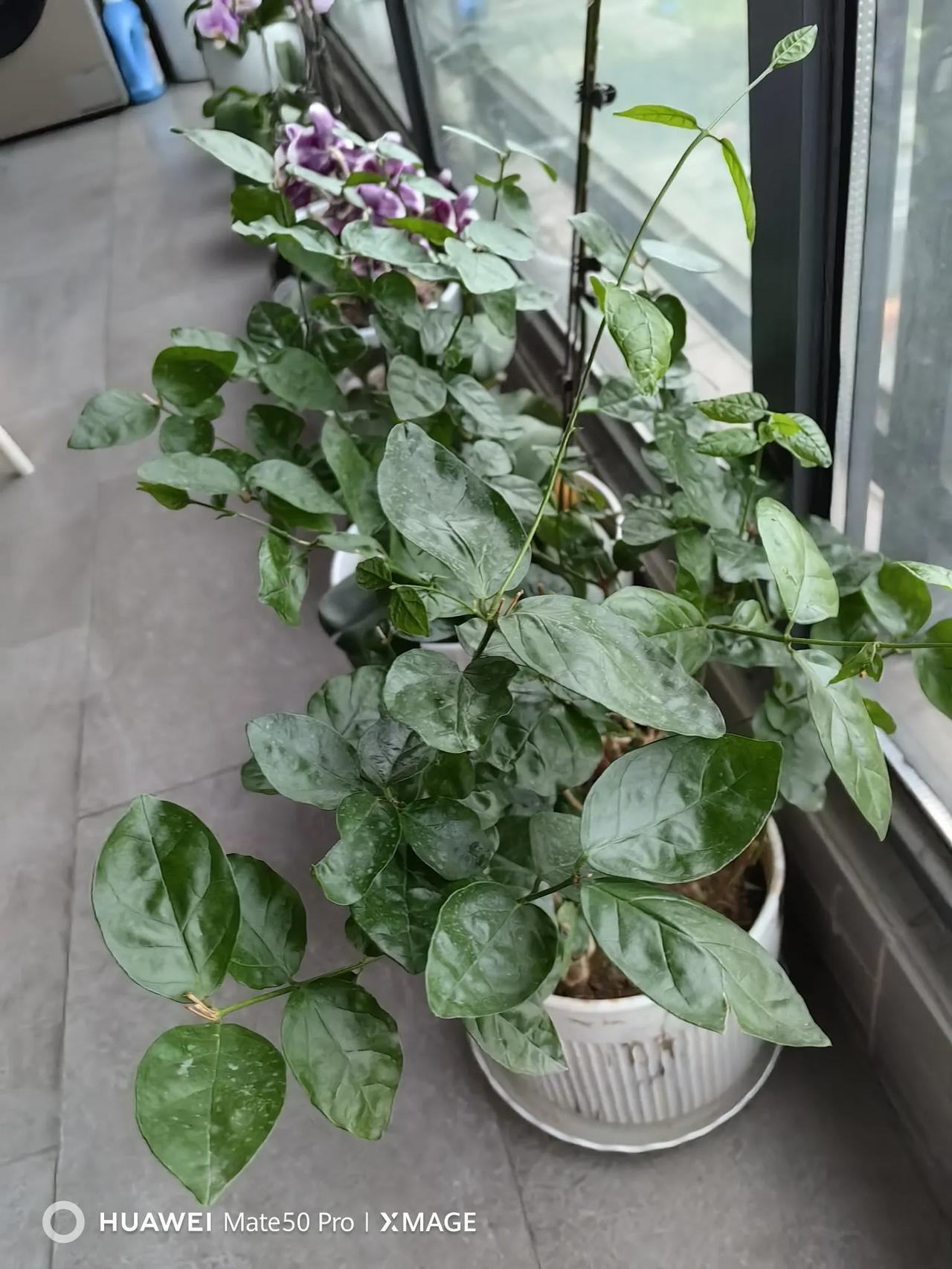 还是有很多人在努力的，脚踏实地的生活着。我有一个很好的朋友讲了一个〝故事”，很有