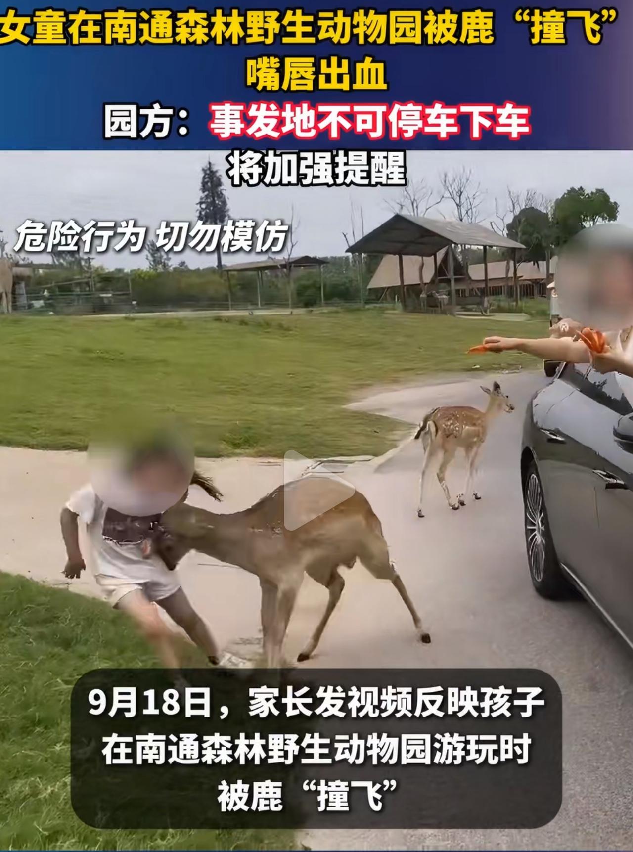 9月18日，江苏南通一家野生动物园内，一对家长带孩子自驾游览。看着路边几只安静的