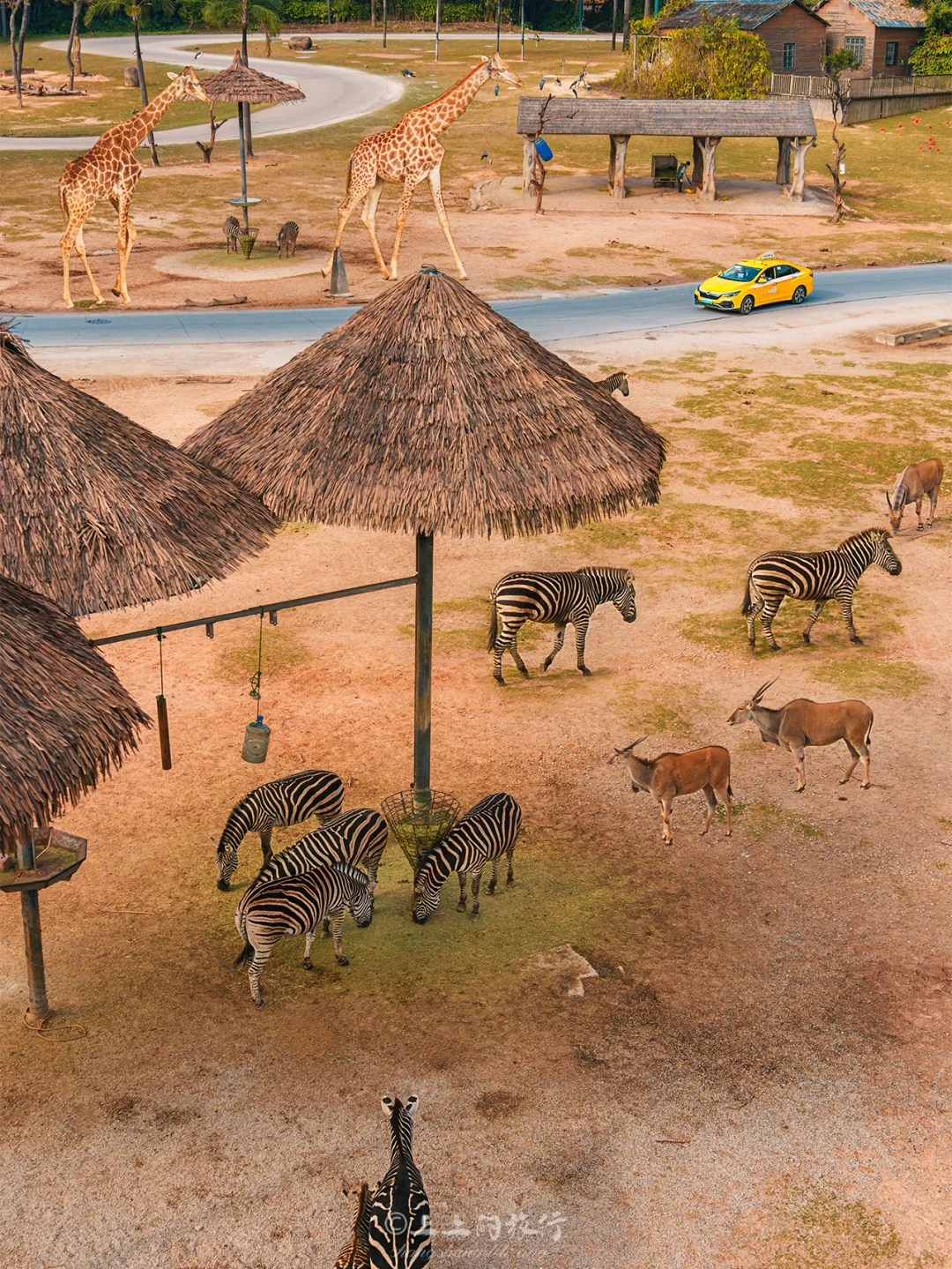 广州！！后劲太大，劝一劝没去的姐妹……