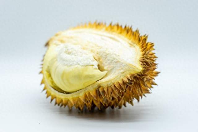 榴莲没熟直接丢冰箱？难怪放多久都硬邦邦！
