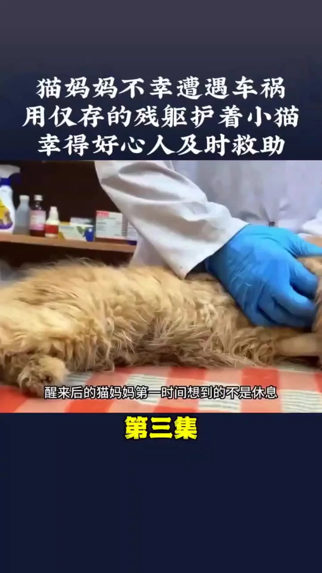 我的观影报告