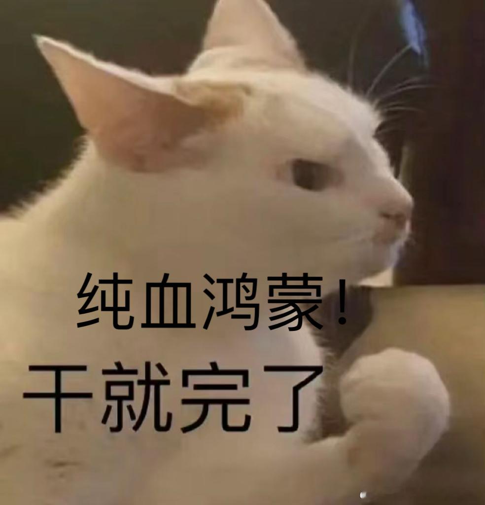 #鸿蒙NEXT面向开发者启动Beta# 真的太激动了！鸿蒙NEXT面向开发者正式