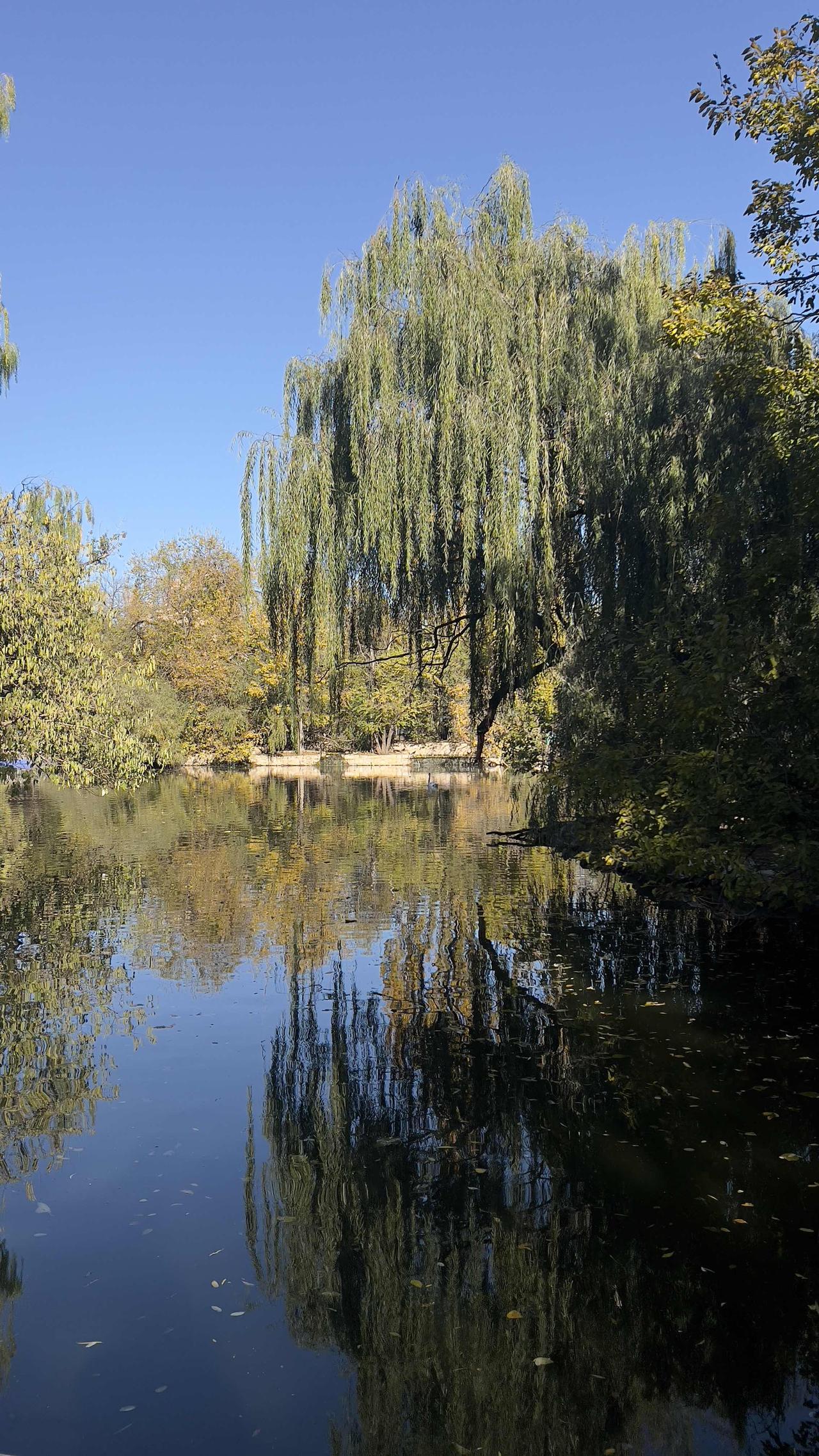 公园美丽景随拍