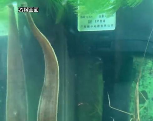 “悲剧还是发生了！”近日，河南郑州，一男子轻信网络“偏方”，出于猎奇心理，就按照