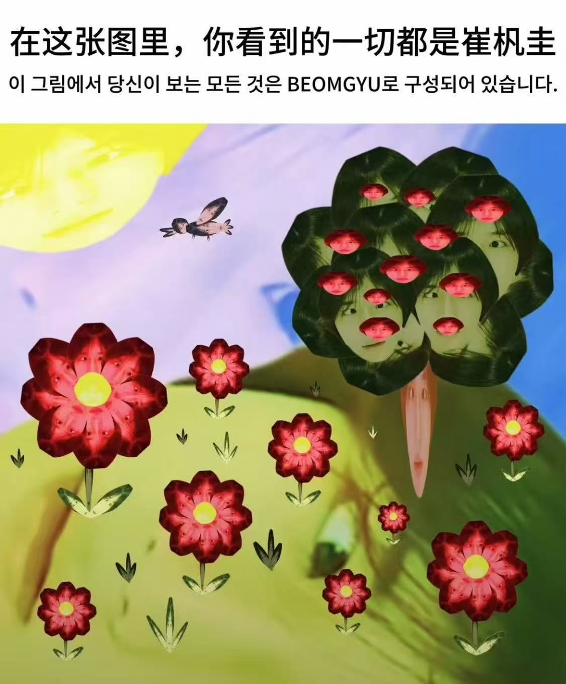 突然发现忘记发善善了 