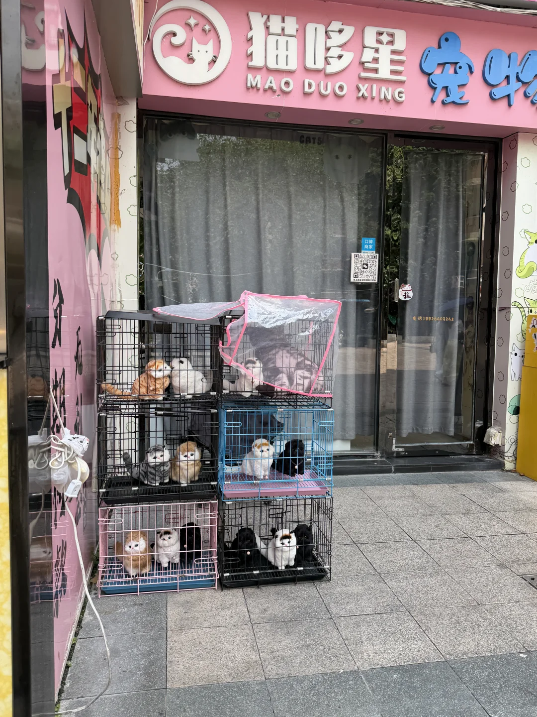 谁能解释广州这种现象？？？？