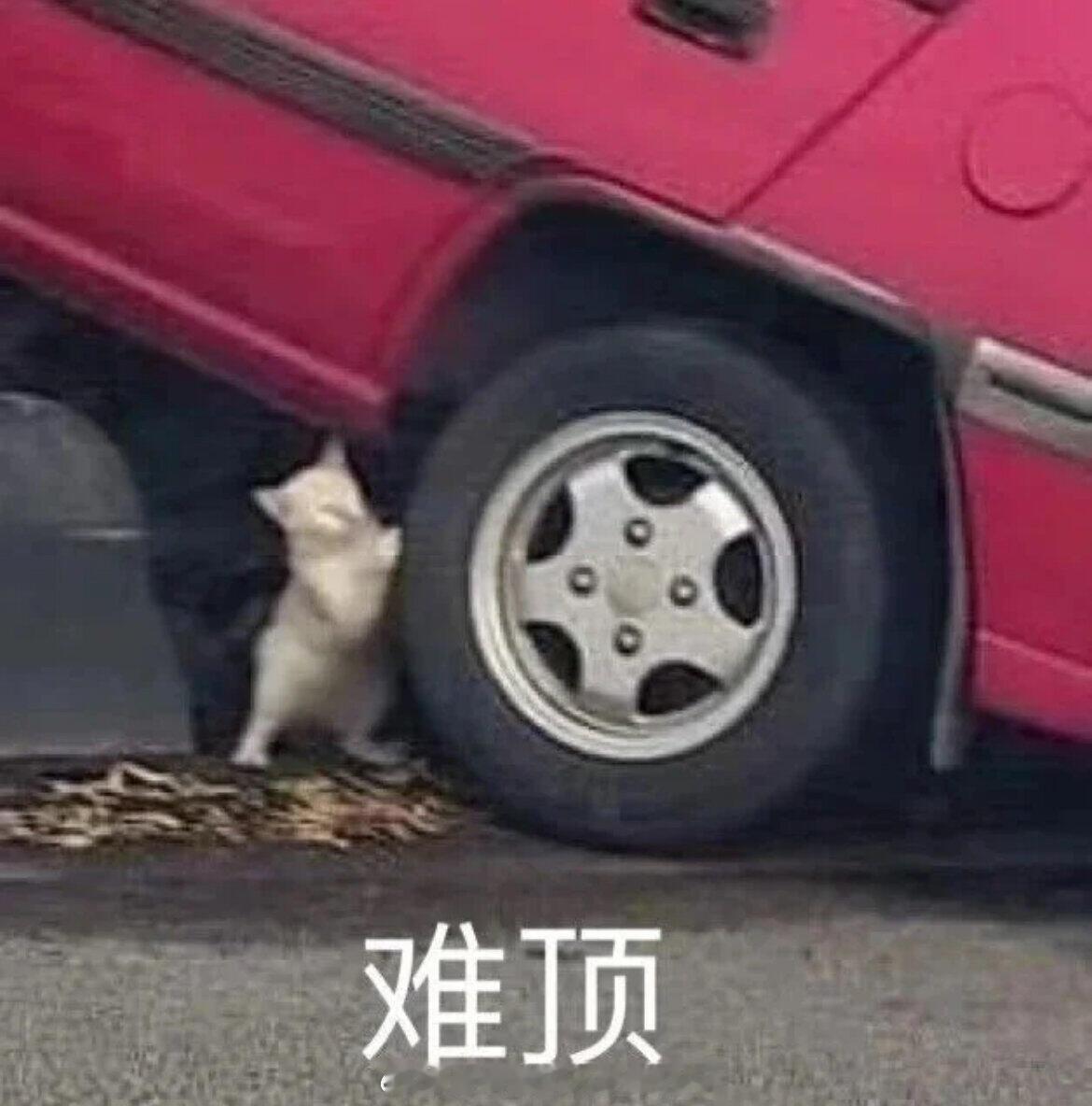 能力是舟，机遇是风。无风之时，再好的船，也无法远航。 ​​​