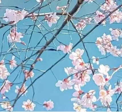0000在这个快节奏的世界里，让我们偶尔放慢脚步，感受生活的细腻与美好。就像清晨