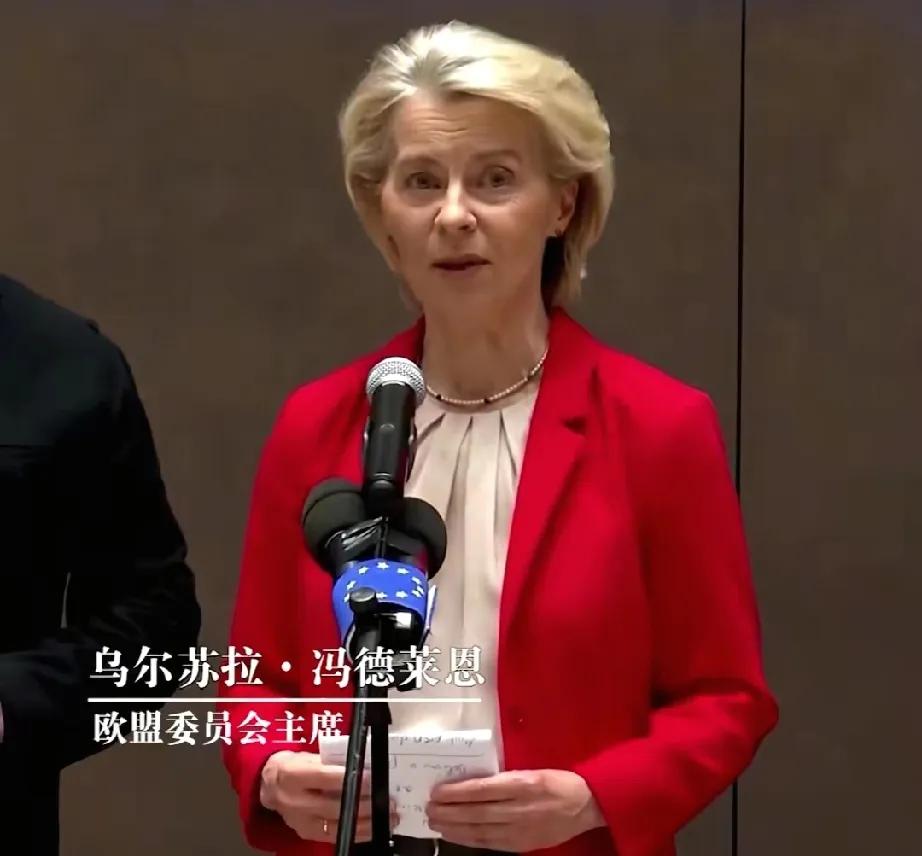 900亿欧元援乌贷款火速通过，难怪欧盟成员国会全员同意，因为这笔钱最终还是得流回