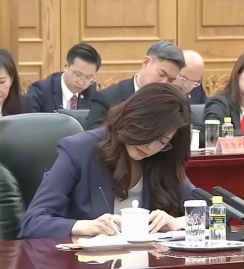 郑丽文开口要国际空间，想用缓和两岸关系换台湾重回世卫、国际民航，这买卖听着不小，