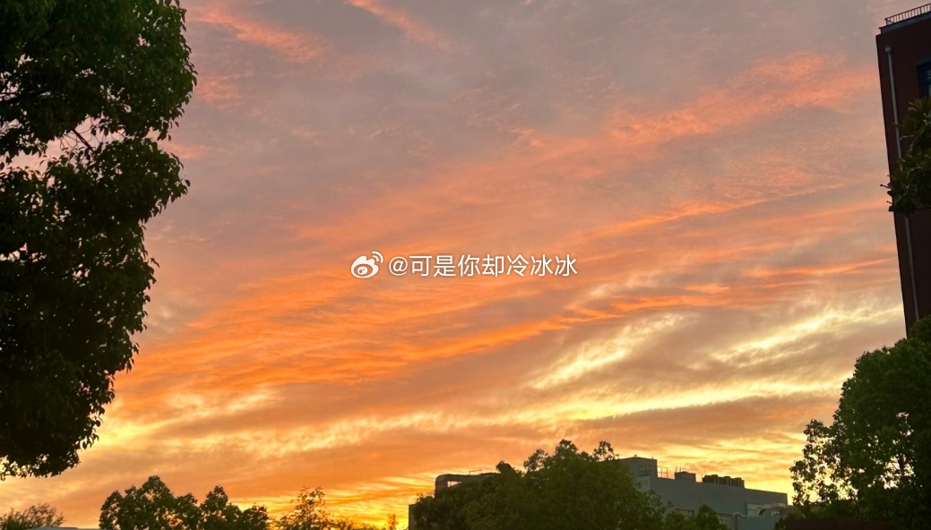 躺在床上，周遭安静得只剩下自己的呼吸。白天被各种琐事推着走，难得有片刻不用迎合任