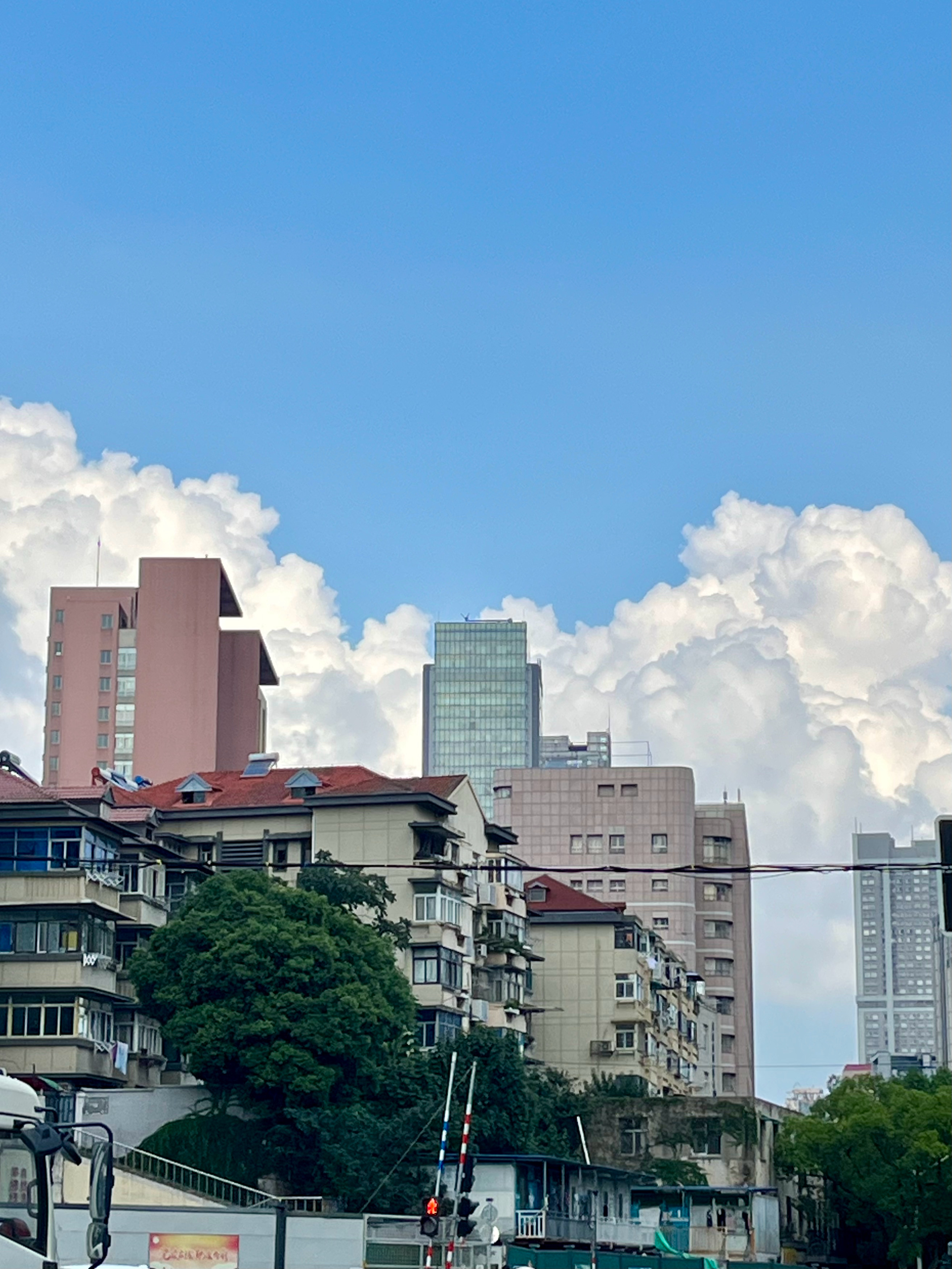 南京city walk[兔子]  ​​​