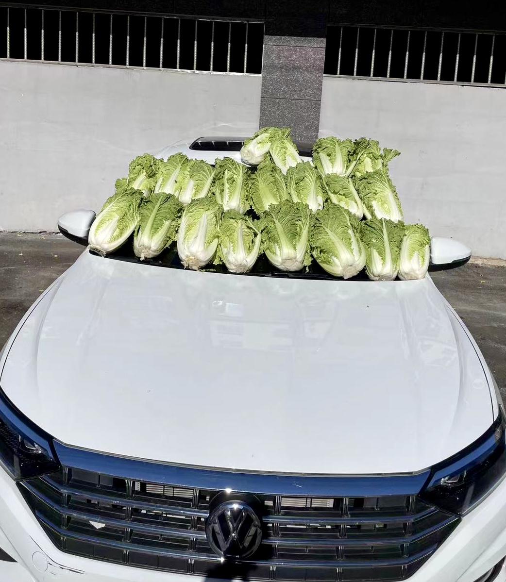 ～口袋里的司机～

他上了出租车，说去老街，司机点点头，打开导航奔老街方向驶去。