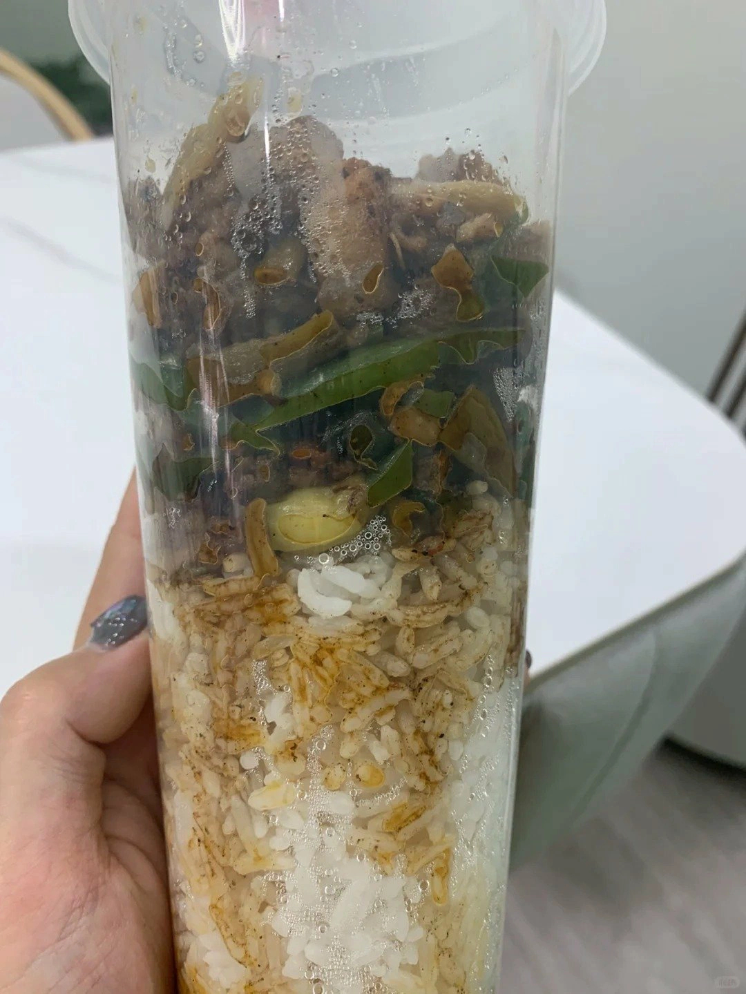 同事为了带饭不洗碗有多聪明这下谁还分得清她和爱因斯坦啊 ​​​