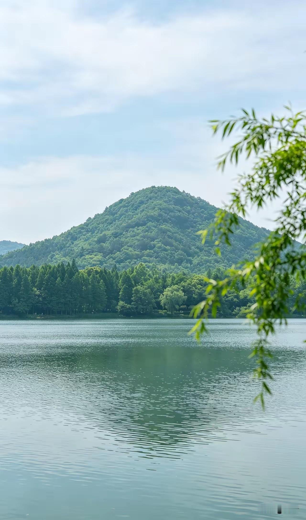人体八大养生密钥，坚持日常养护，百病远离一身轻
 
1. 强身固本开关：规律快走