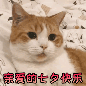 七夕微信开放520元红包大家给爱人发红包了吗？🧧🧧🧧咱们今天红包晚上在安排