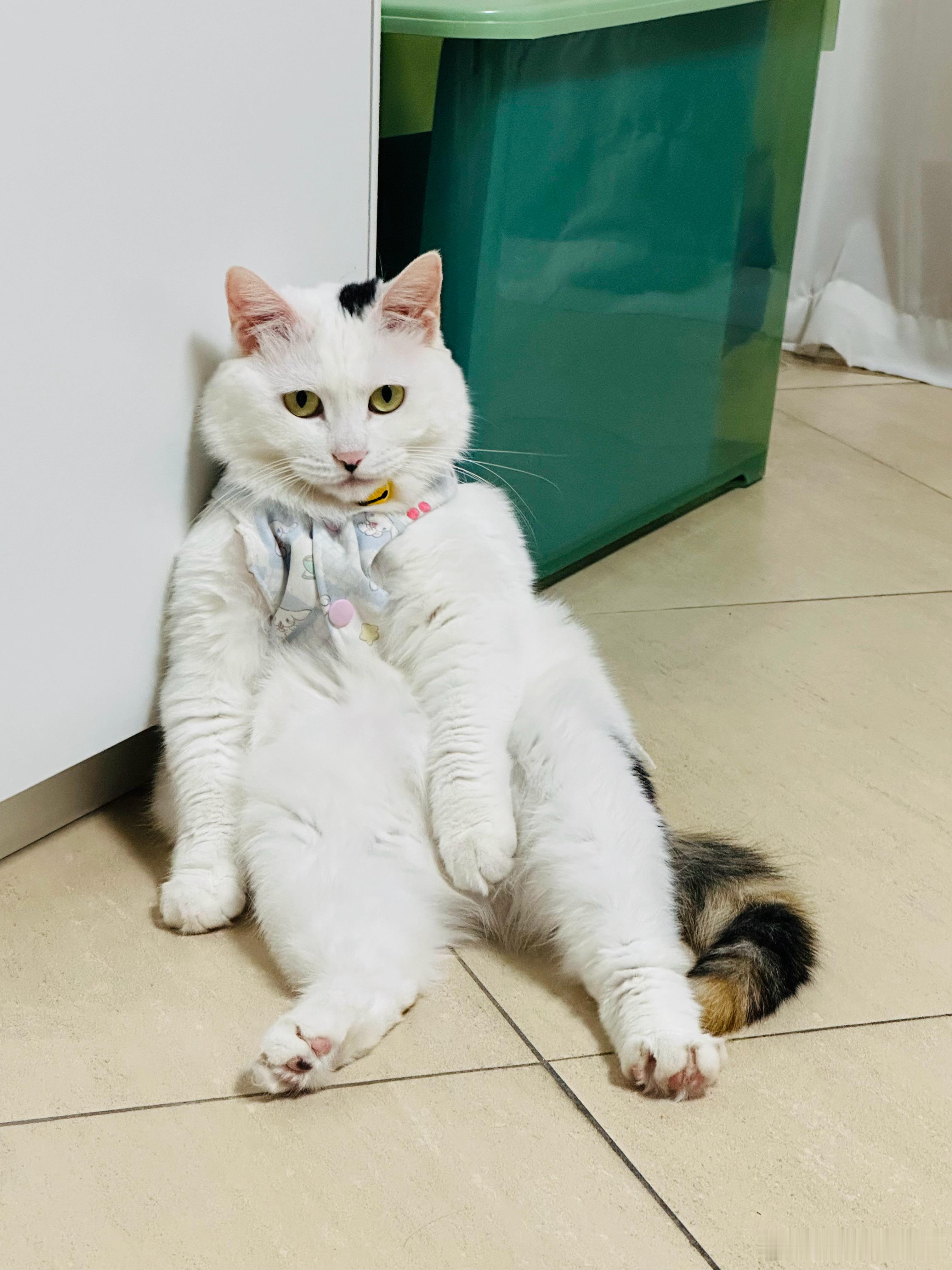 智慧，是生死需求，其他都是生理需求。 