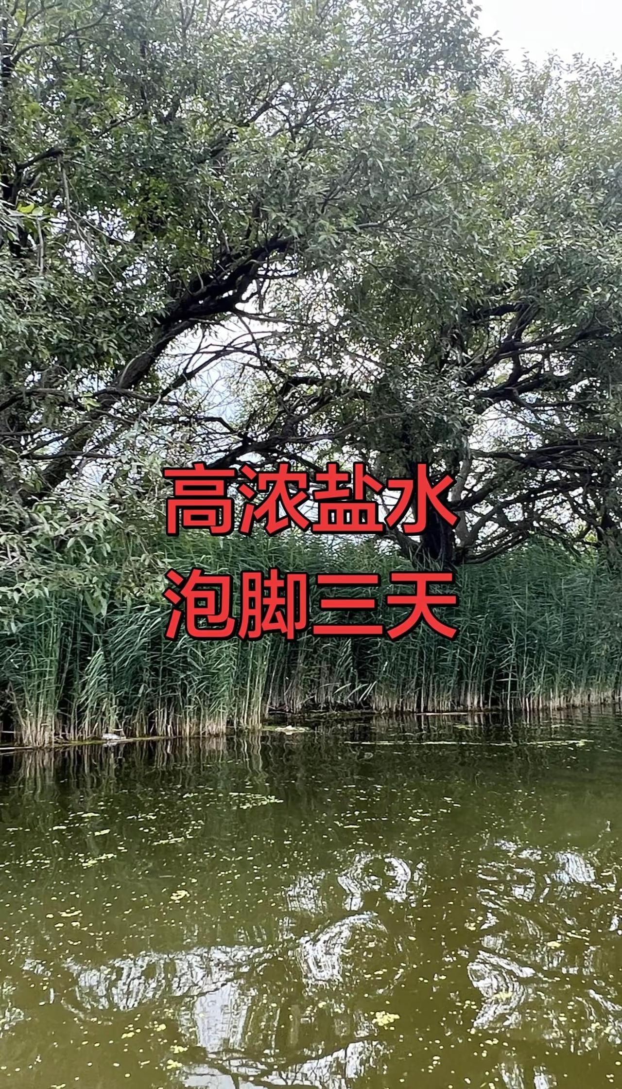 重磅喜讯！斯诺克世锦赛迎来全新历史标杆！2026斯诺克世锦赛决赛圆满收官，中国选
