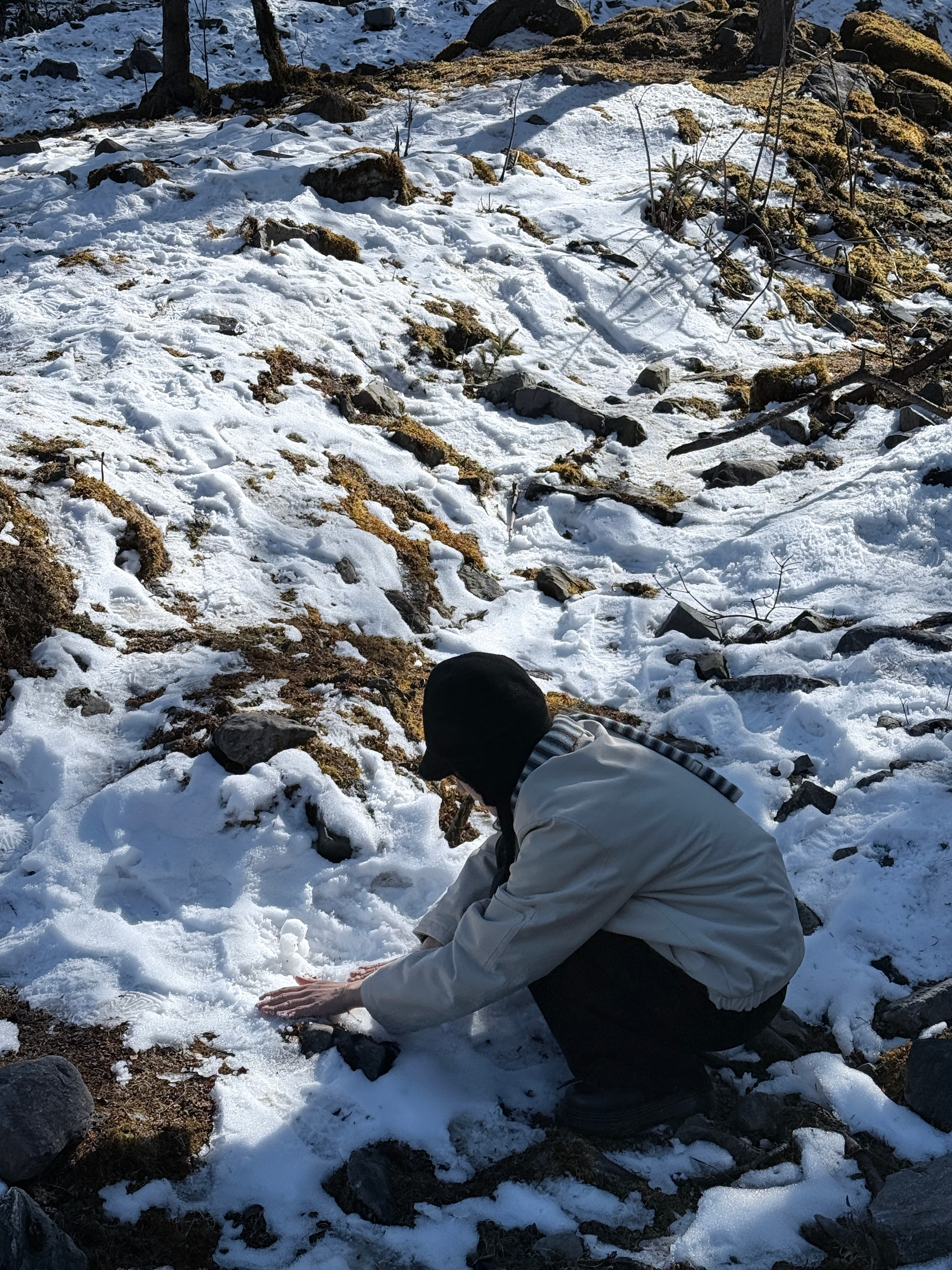 不语 只是一味的堆雪人⛄️ 