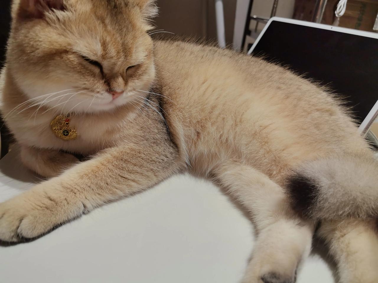 人该在乎别人背后的闲言闲语吗举报他传染病越南语多重人格就不喝不过基本太残忍村干部