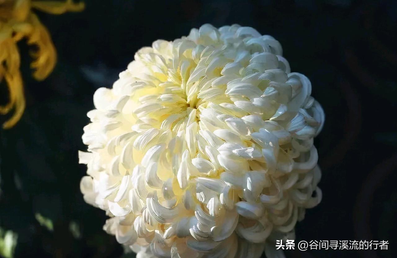 他就是那个从寒门里拼出来的80后，骨子里那股不服输、敢闯敢拼的劲儿，真的太让人佩