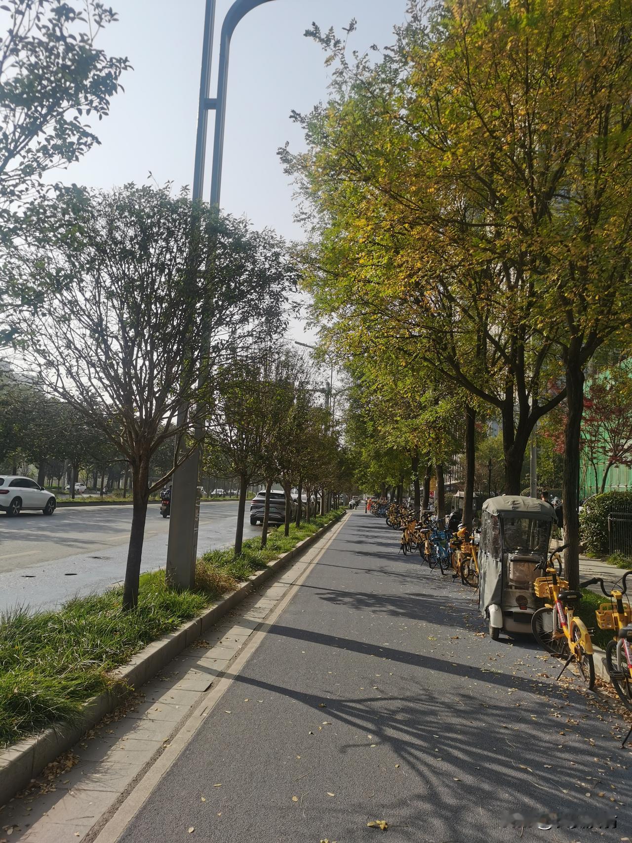 我外甥，我妹妹的孩子，今年已经29岁了，有一份收入一般的工作，家里全款给他买了一