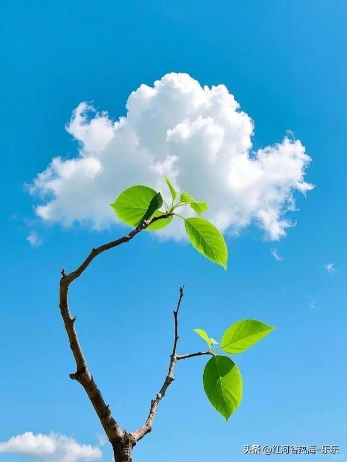 相亲和自己谈恋爱不一样，相亲是一个很现实的地方，每个人在相亲市场里面就像商品一样